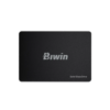 BIWIN SSD M100 256GB SATA